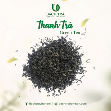 Bách Trà - Green tea 500g Distributed by Vietfarms