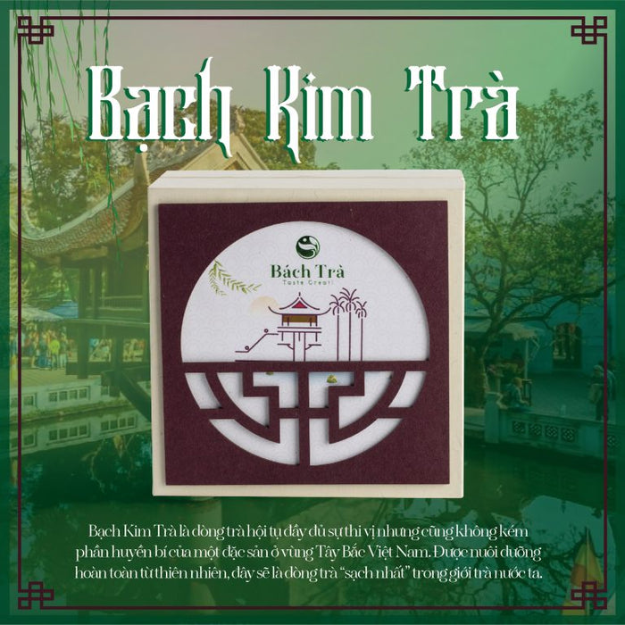 Dòng Bạch Kim: Khám Phá Bí Ẩn Và Sức Hấp Dẫn Của Loài Cá Quý Hiếm
