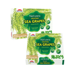 Natusea - Fresh Bird’s Nest with Sea Grapes Distributed by VietFarms - COMMING SOON