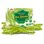 Natusea - Fresh Bird’s Nest with Sea Grapes Distributed by VietFarms - COMMING SOON