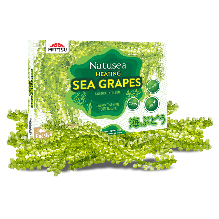 Natusea - Fresh Bird’s Nest with Sea Grapes Distributed by VietFarms - COMMING SOON