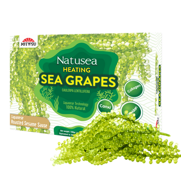 Natusea - Fresh Bird’s Nest with Sea Grapes Distributed by VietFarms - COMMING SOON