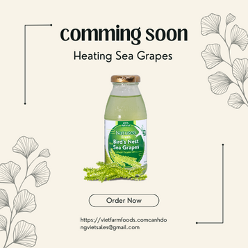 Natusea - Heating Sea Grapes Distributed by VietFarms - COMMING SOON