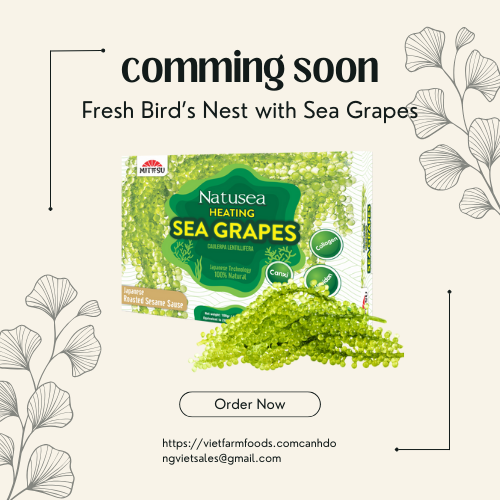 Natusea - Fresh Bird’s Nest with Sea Grapes Distributed by VietFarms - COMMING SOON