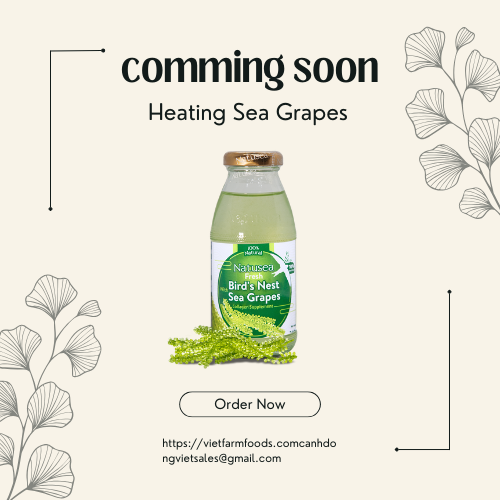 Natusea - Heating Sea Grapes Distributed by VietFarms - COMMING SOON