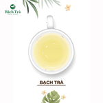 Bạch Trà - White Tea Premium Distributed by Vietfarms