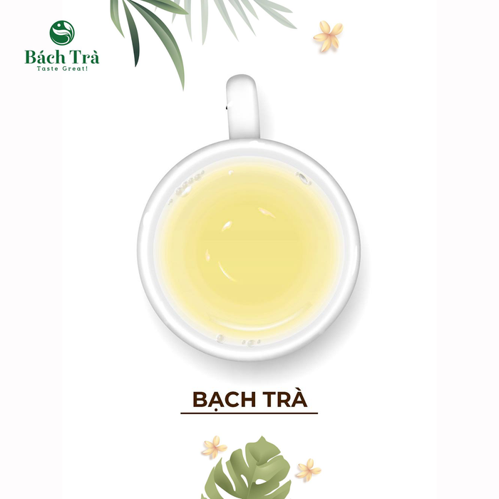 Bạch Trà - White Tea Premium Distributed by Vietfarms